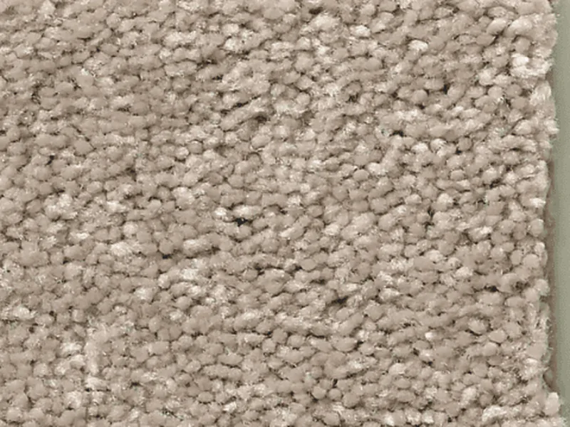 Close-up of soft neutral carpet